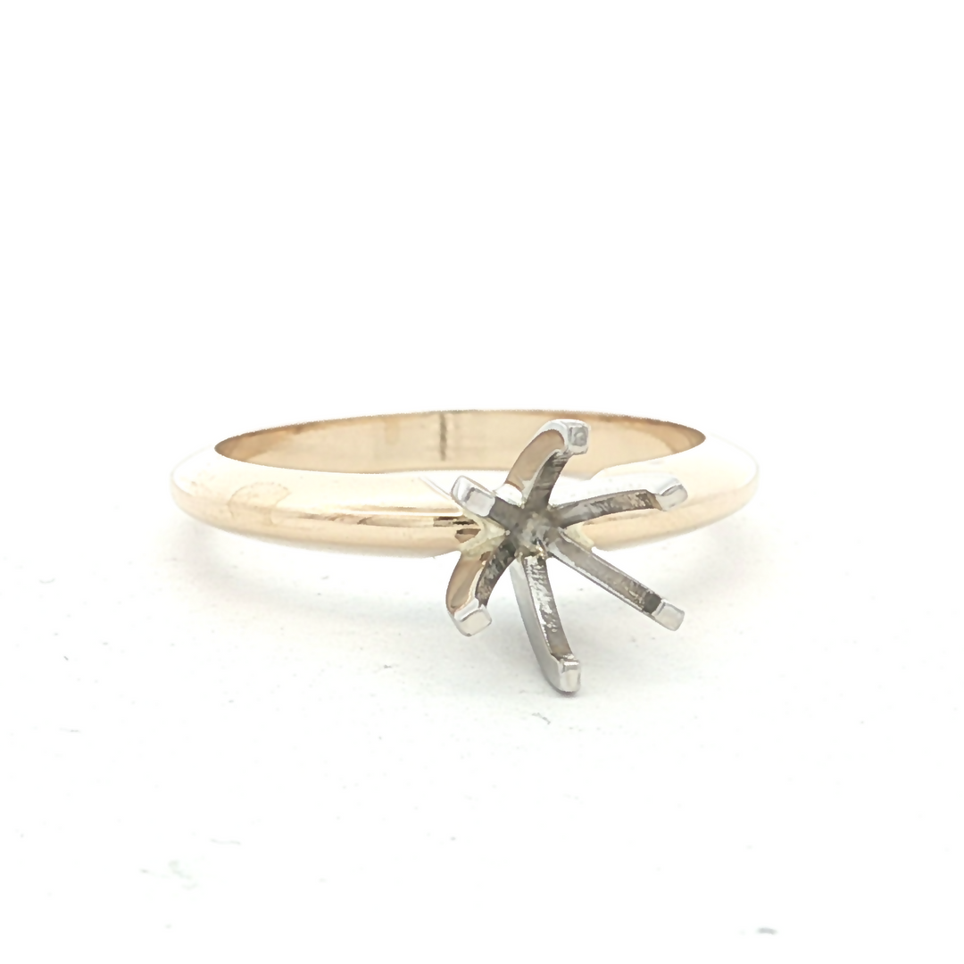 Precious Metal (No Stones) Remount