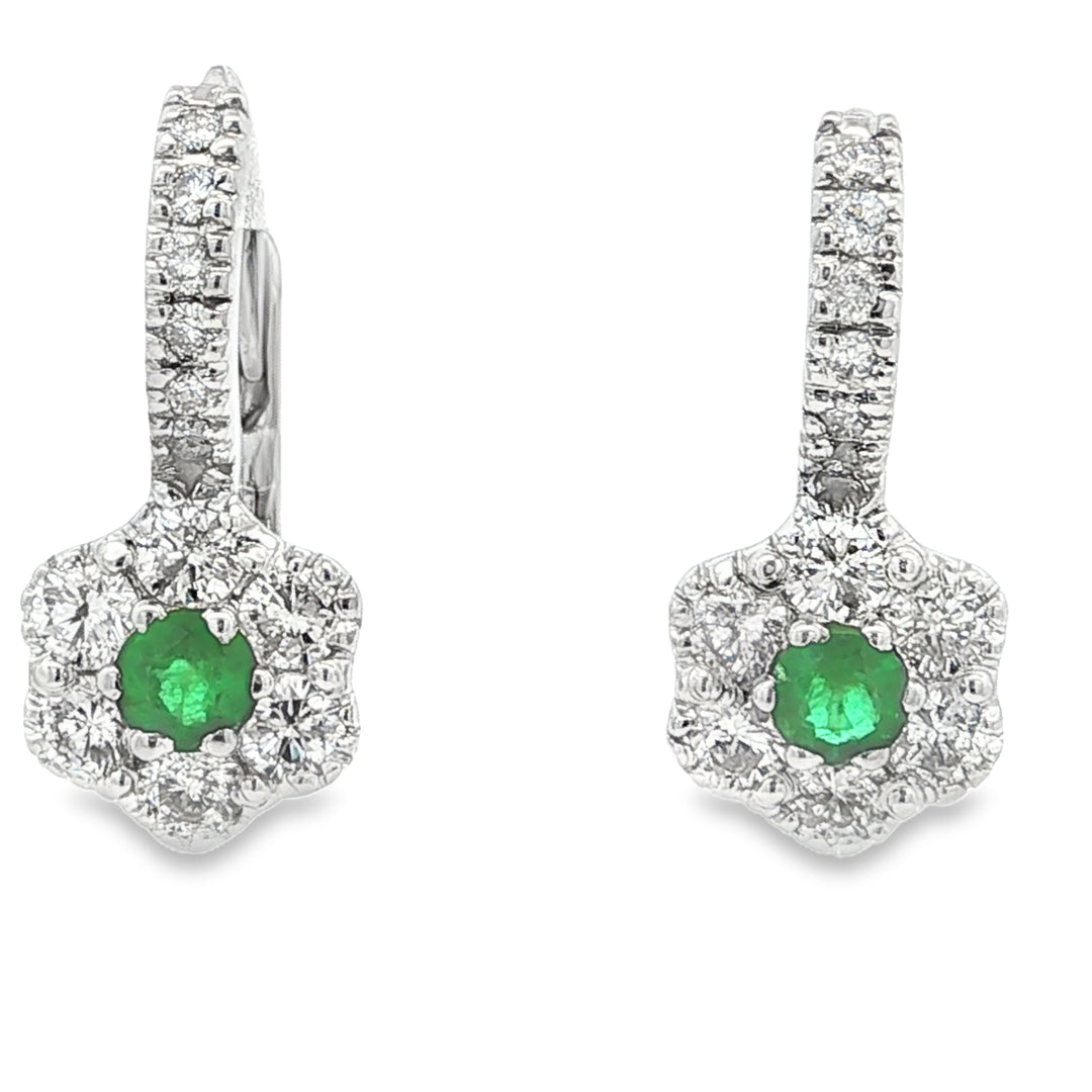 Colored Stone Earring