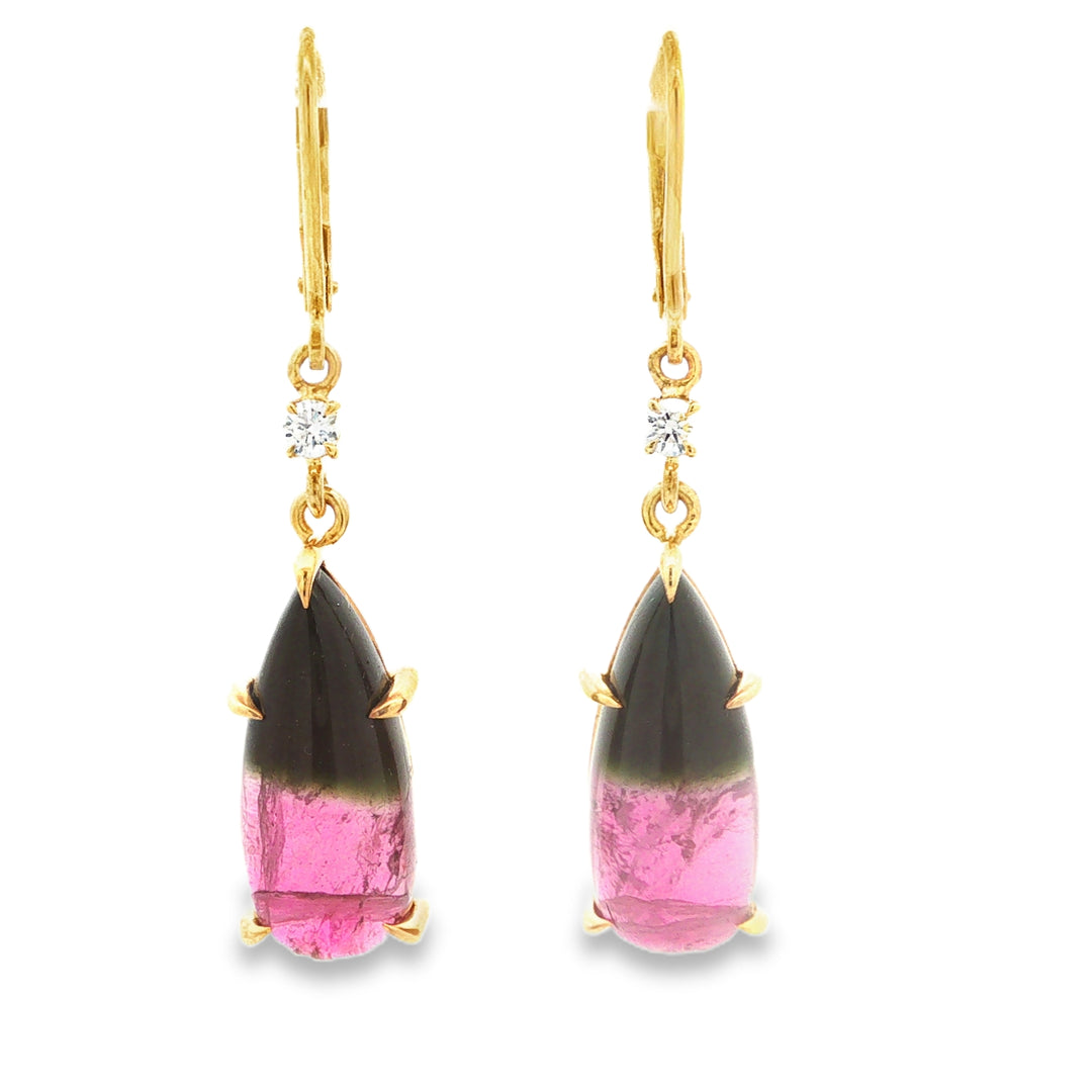 Colored Stone Earring